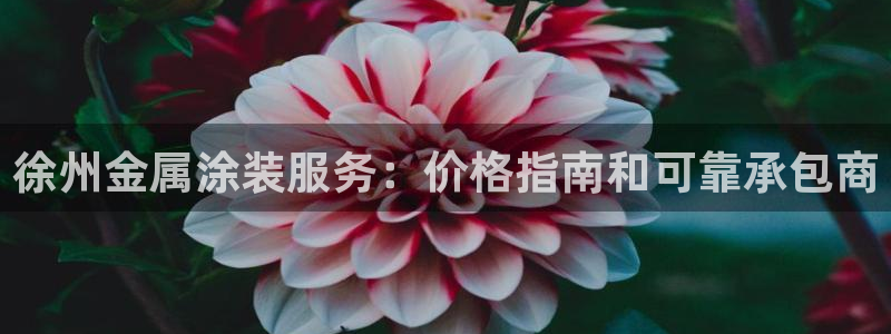 美高梅控股有限公司招聘