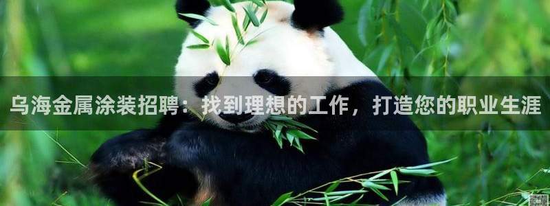 美高梅酒店香皂什么牌子