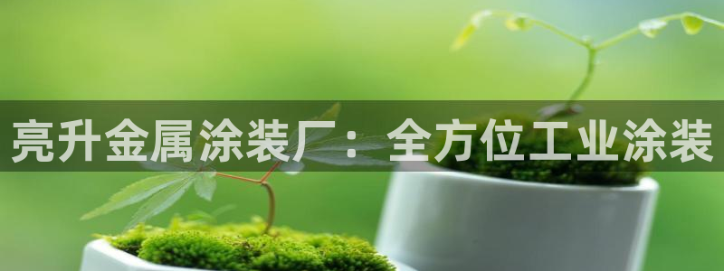 美高梅会员卡等级图片