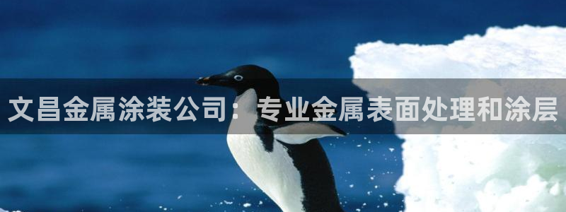 美高梅现状