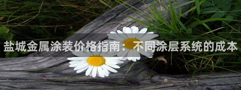 美高梅酒店哪年建成