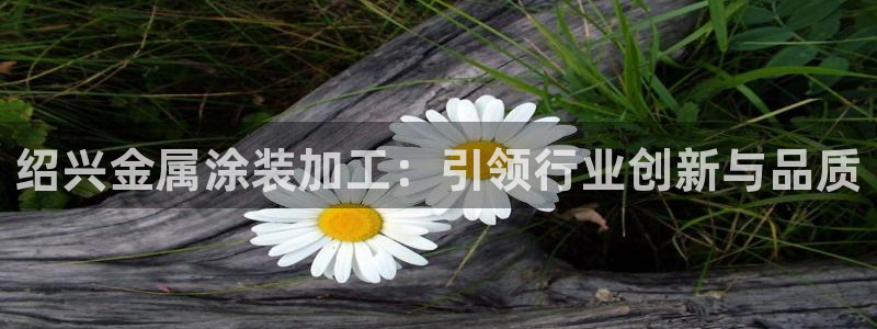 美高梅游戏推荐