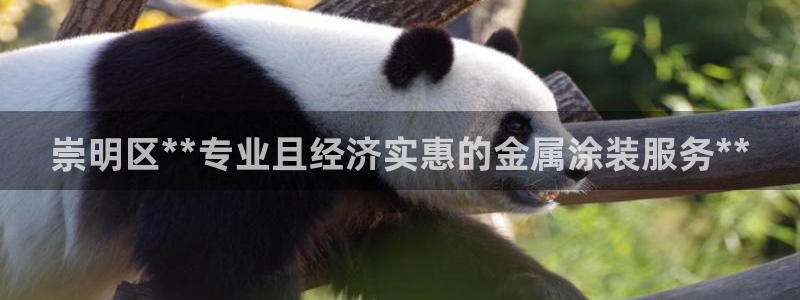 美高梅是个什么公司
