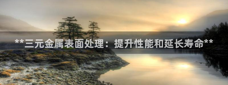 美狮美高梅酒店英文