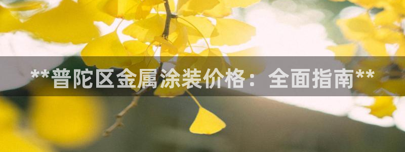 美高梅会员卡等级怎么分