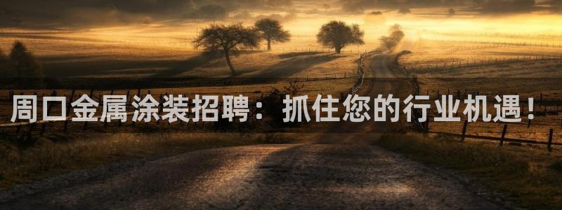 美高梅国际酒店集团资产