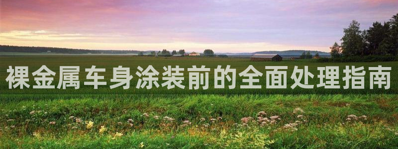 美高梅狮子logo