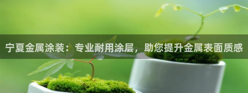 美高梅信德