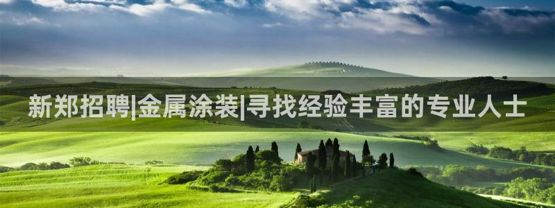 美高梅酒店是谁的