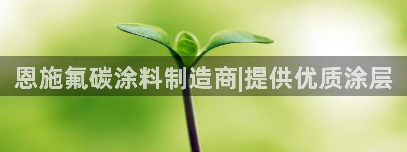 美高梅国际酒店集团的总部位于哪里