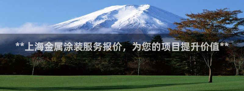 美高梅酒店拖鞋