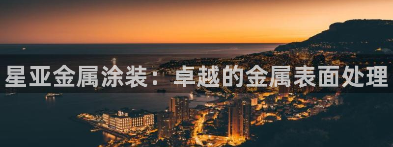 美高梅衣服外套