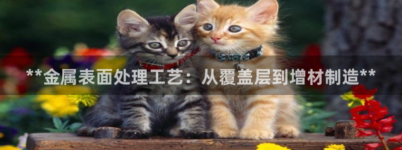 美高梅别墅在哪里