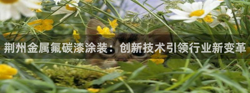 美高梅酒店附近