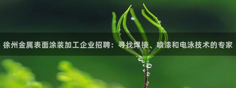 美高梅中国控股有限公司