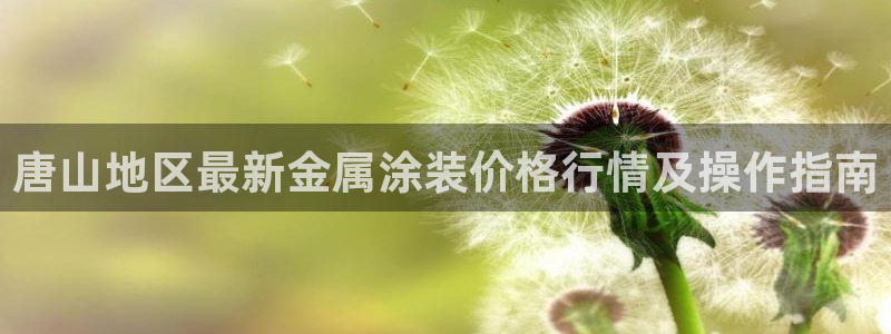 美高梅大酒店哪些省份有