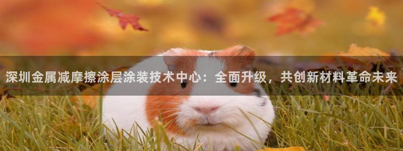 美狮美高梅附近有什么吃的