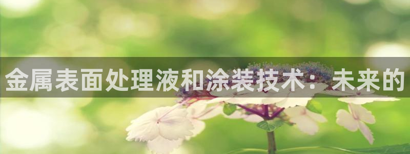 美高梅别墅是精装吗