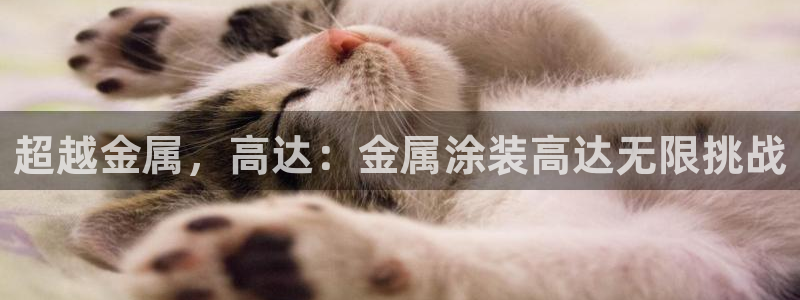 美高梅会员卡怎么办理的