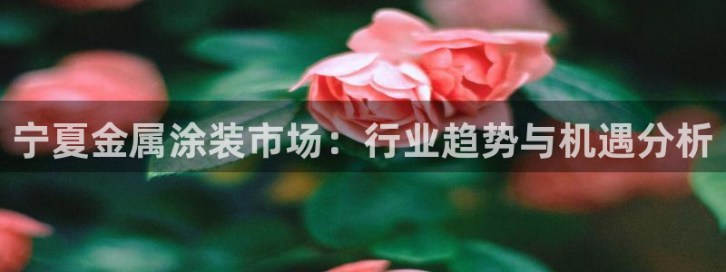 美高梅酒店武汉