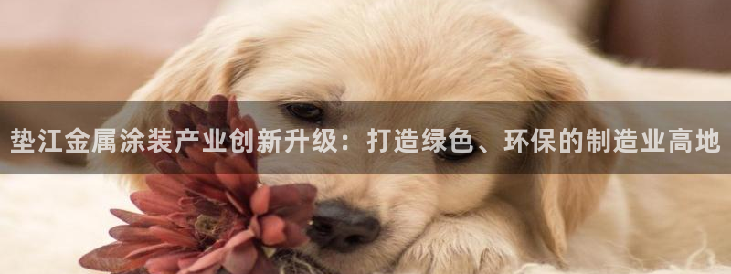 美高梅是做什么的澳门何超琼：垫江金属涂装