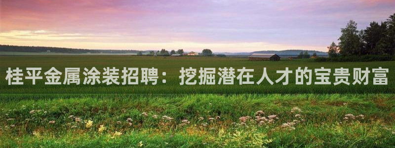美高梅黑卡最低多少积分：桂平金属涂装招聘