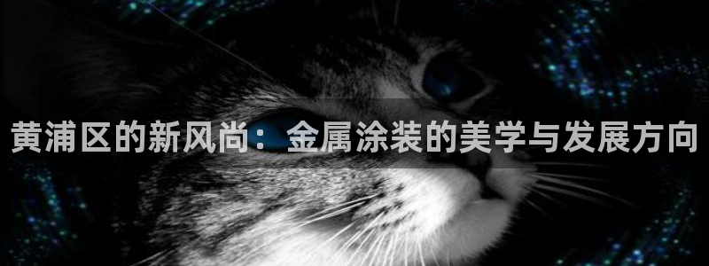美高梅酒店国内有几家