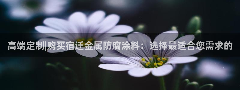 美高梅旗下酒店品牌
