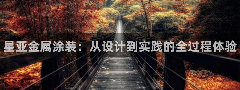 美狮美高梅酒店是谁的