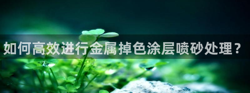 美高梅度假酒店几星级