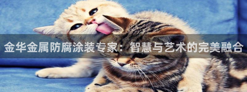米高梅酒店和美高梅酒店