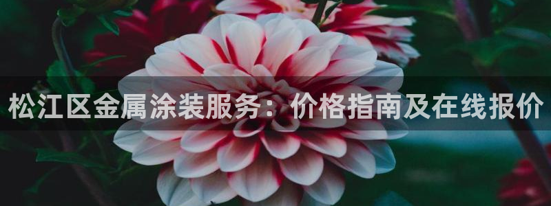 美高梅最大筹码