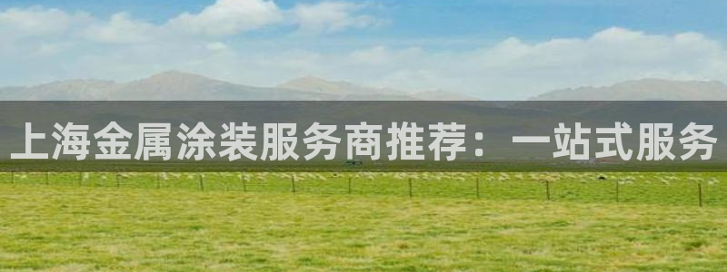 美国美高梅酒店集团