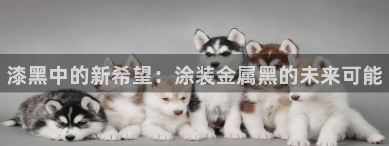 美高梅酒店的包可以拿走吗