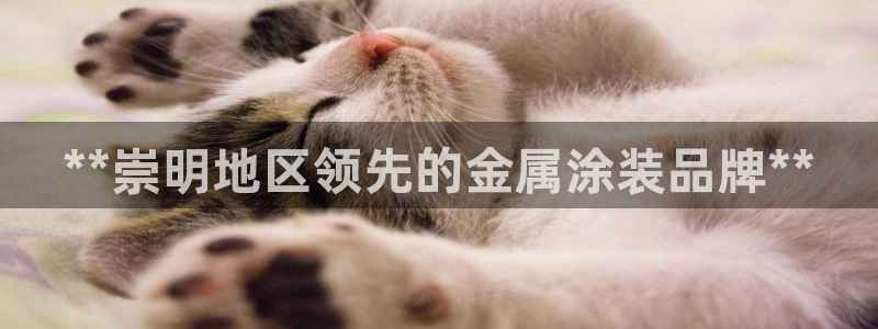 美高梅会员卡级别黑卡