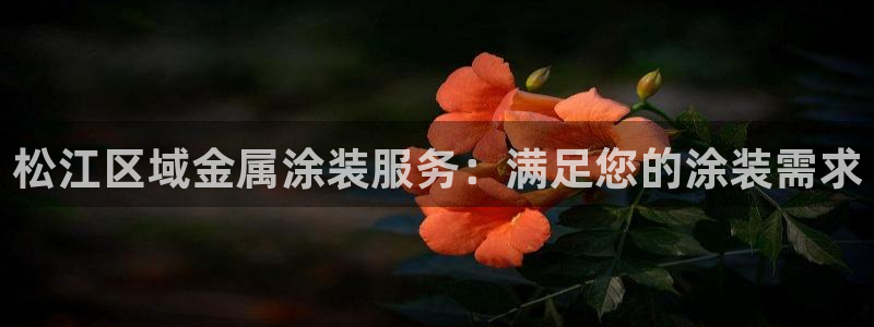 美狮美高梅酒店挂图