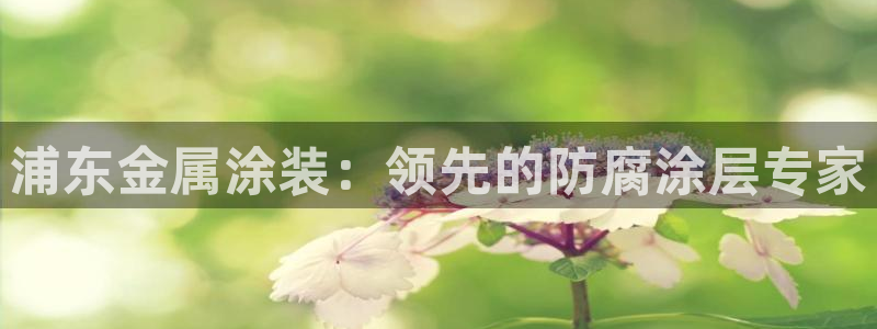 美高梅的狮子是纯金的吗