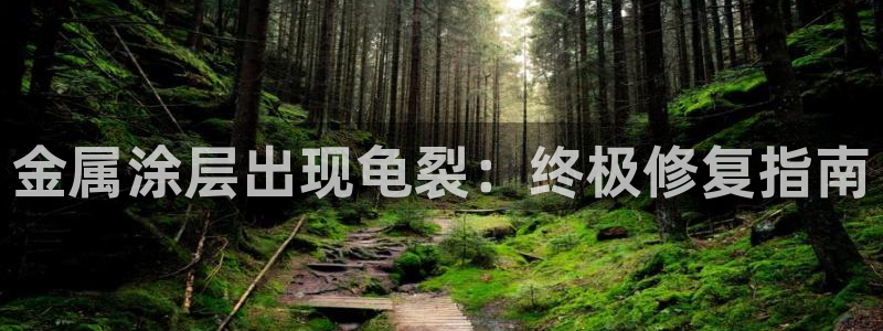 美高梅大酒店招聘信息最新