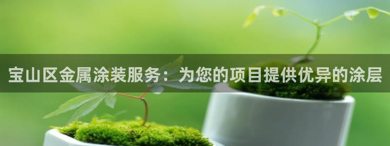 美高梅酒店认养的大熊猫