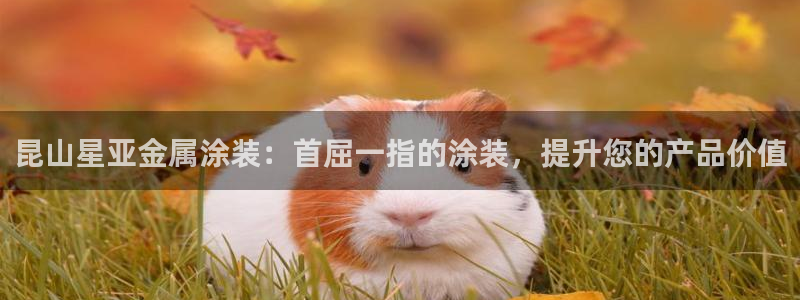 美狮美高梅酒店什么时候开业