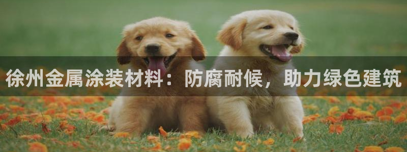 美高梅会员卡积分规则是什么