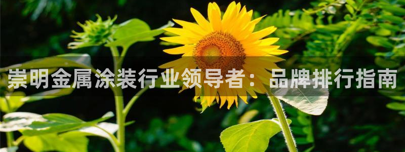 美狮美高梅酒店双尸案