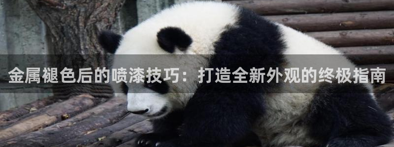 美狮美高梅酒店贵还是摩泊斯贵