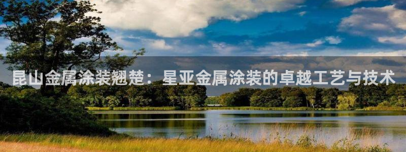 美高梅酒店自助年卡