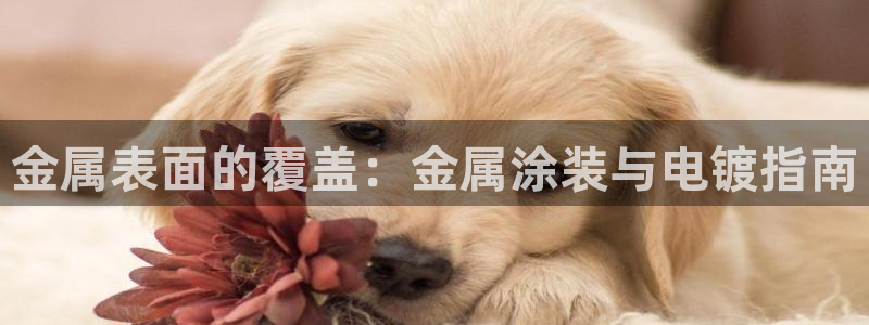 鲁能美高梅别墅什么时候入住