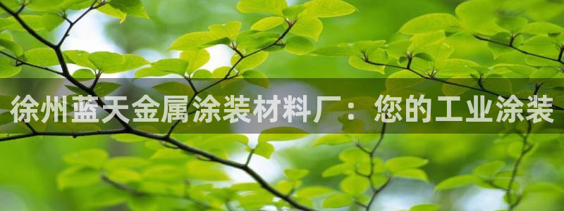 美高梅官网国际亮点