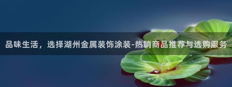 美高梅是做什么的澳门何超琼