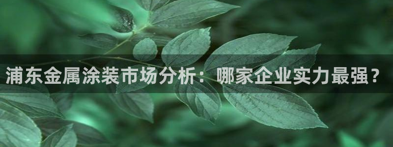 美高梅大酒店何超琼