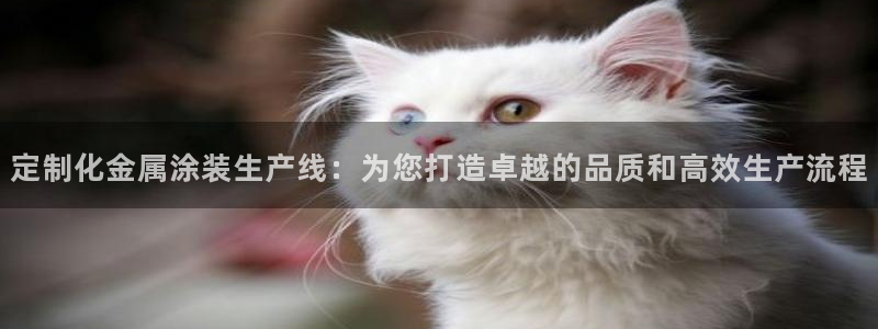 美高梅中国股票