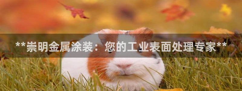 美高梅公司旗下有哪些公司